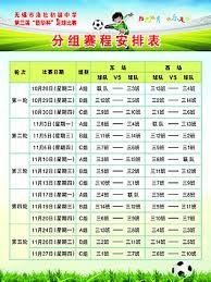 帕尔马足球俱乐部推动可持续足球发展座谈会
